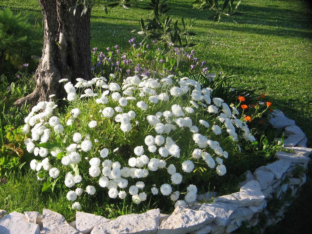Dimaras Apartments Vasilikí Екстериор снимка