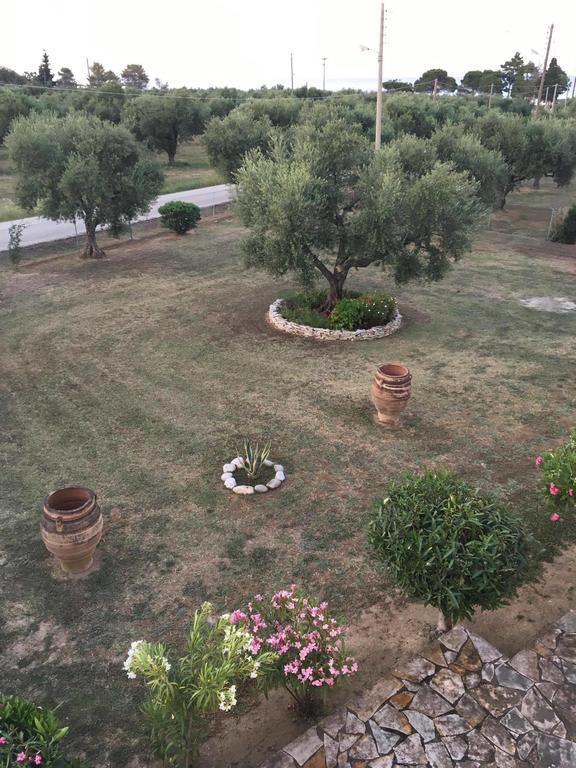 Dimaras Apartments Vasilikí Екстериор снимка
